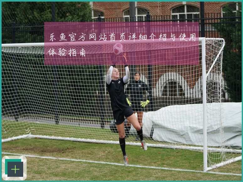 乐鱼官方网站首页详细介绍与使用体验指南