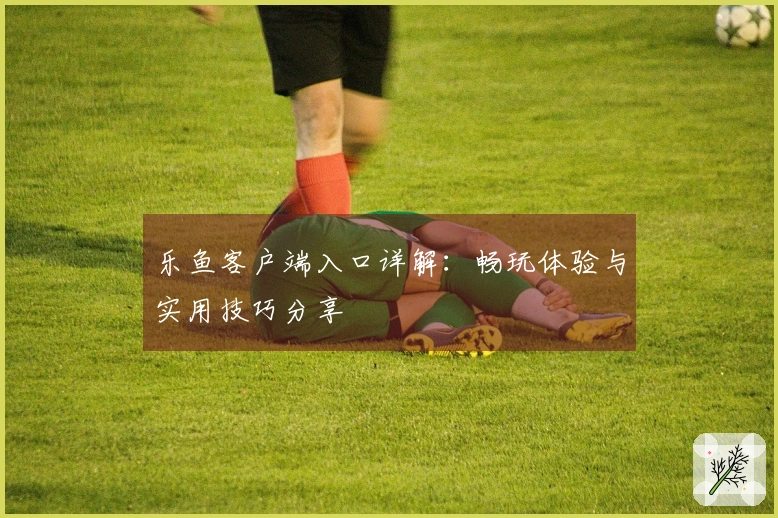 乐鱼客户端入口详解：畅玩体验与实用技巧分享