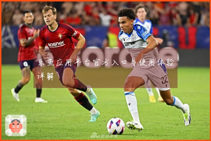 乐鱼应用平台官方入口与使用体验详解