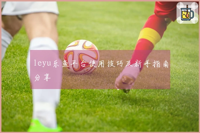 leyu乐鱼平台使用技巧及新手指南分享
