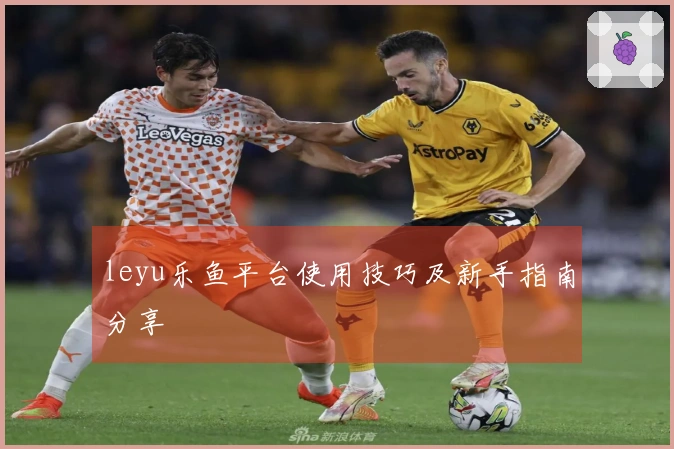 leyu乐鱼平台使用技巧及新手指南分享