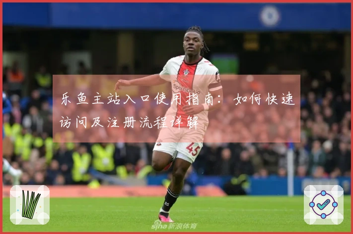 乐鱼主站入口使用指南：如何快速访问及注册流程详解