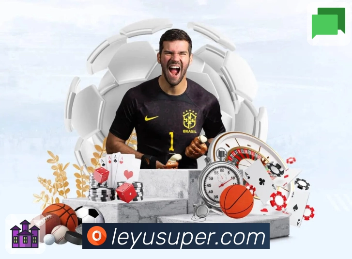 <strong>leyu</strong>入口防护与稳定